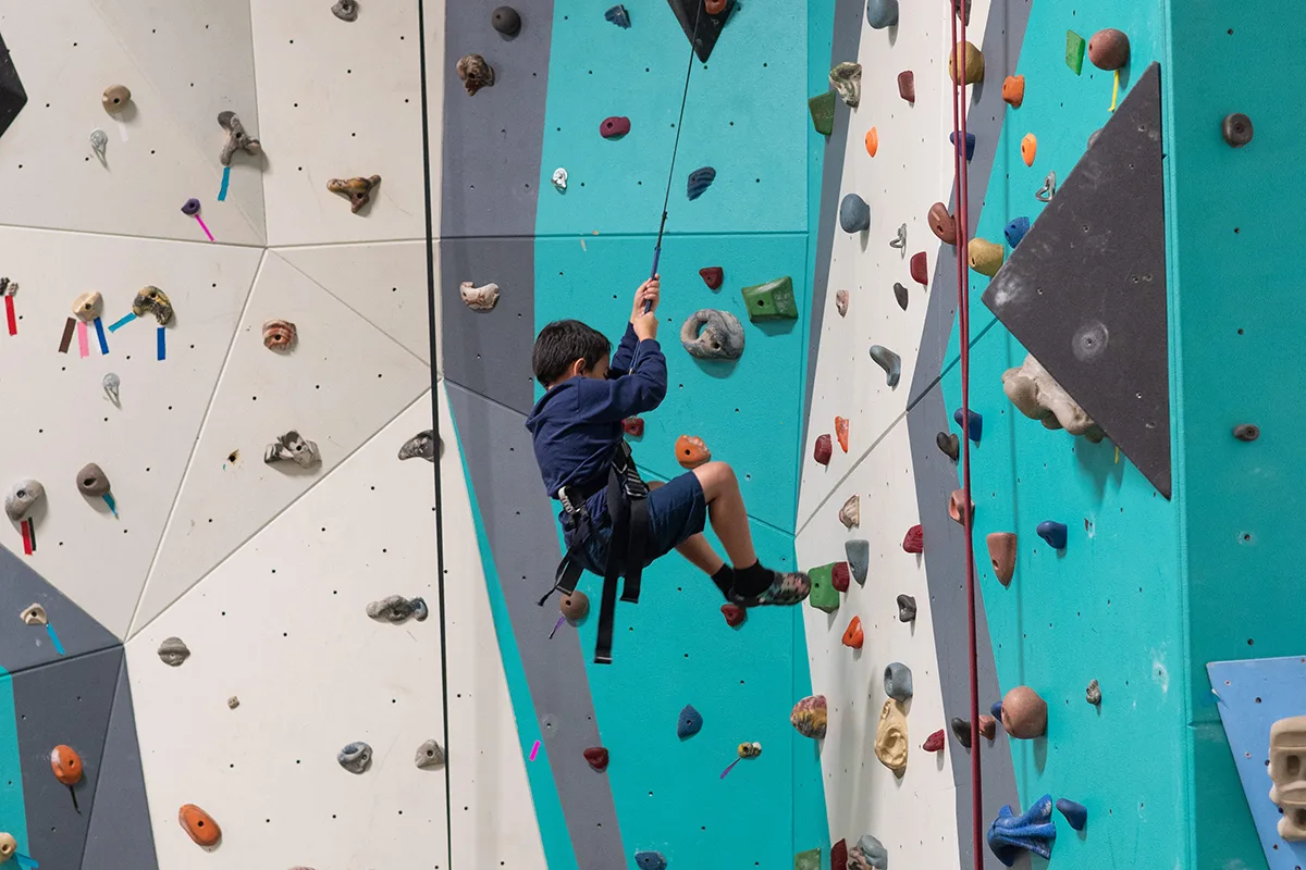 SAY-Rock-Wall-7 A young boy in a harness climbs an indoor rock wall, surrounded by colorful climbing holds on a teal and white surface.