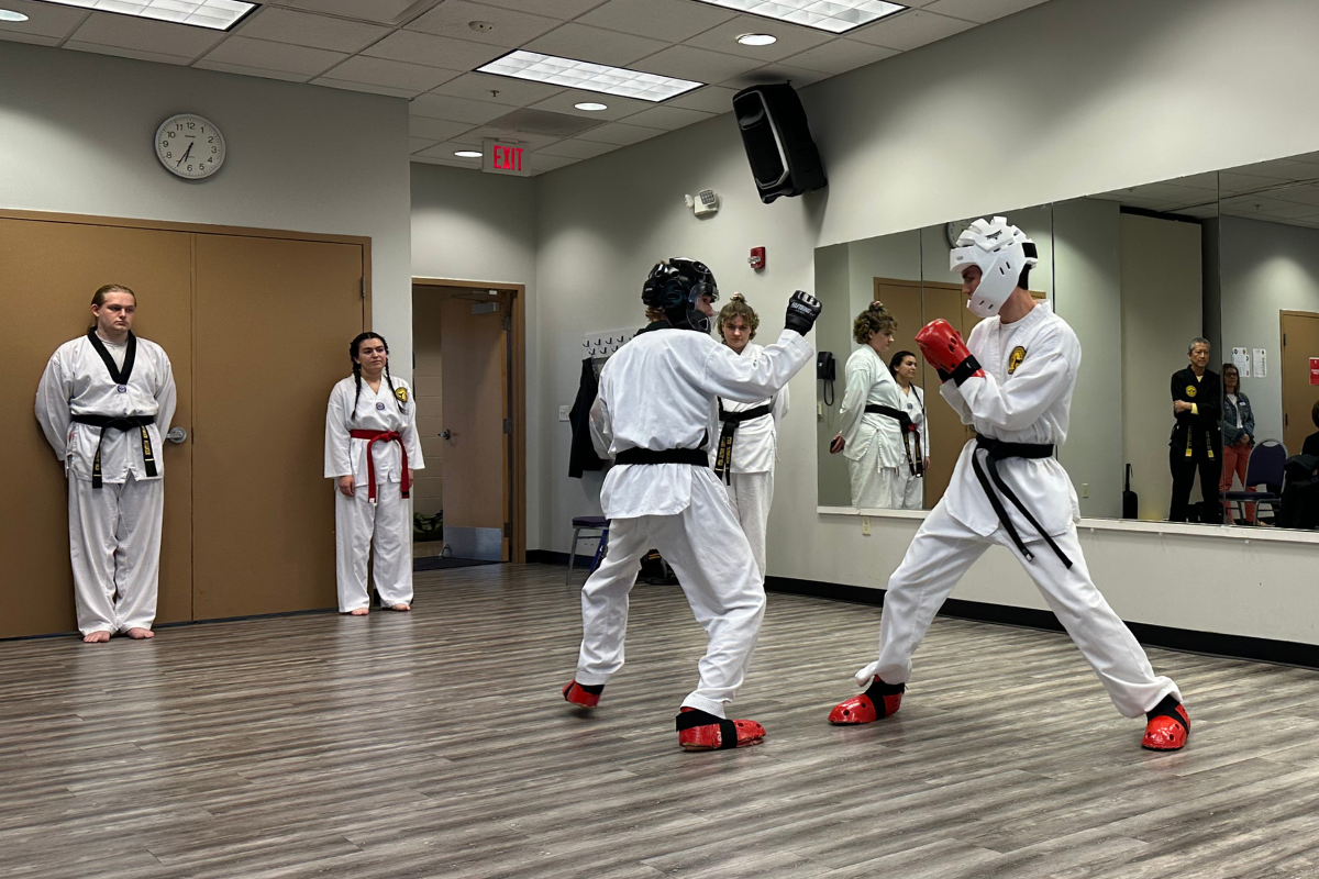 Students participating in a martial arts demo.