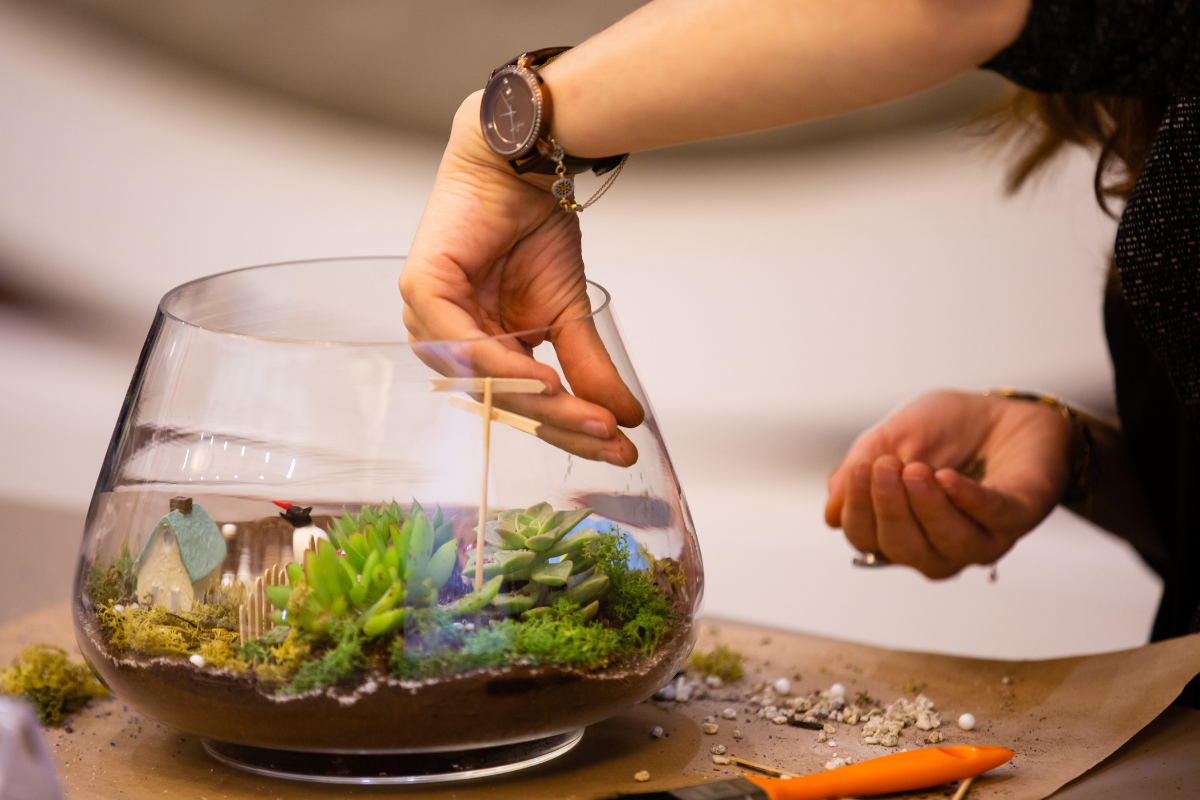 Individual putting together a summer terrarium