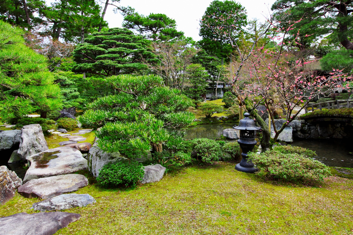 Japanese garden